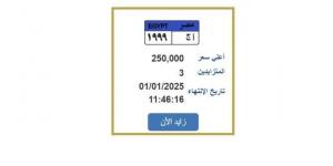 سعرها وصل ربع مليون جنيه.. التزايد على لوحة سيارة مميزة ينتهي اليوم - عرب بريس