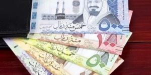 سعر الريال مقابل الجنيه المصري والعملات العربية اليوم الخميس 2-7-1446 - عرب بريس