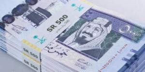 سعر الريال السعودي مقابل الجنيه المصري اليوم الخميس 2 يناير 2025 - عرب بريس