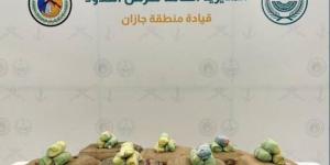 إحباط تهريب (200) كجم من القات بـالعارضة - عرب بريس