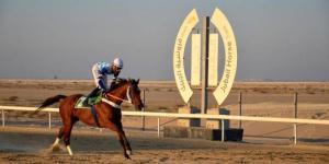 ميدان فروسية الجبيل يقيم سباقه الثامن للموسم الحالي - عرب بريس