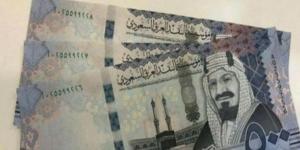 سعر الريال مقابل الجنيه المصري والعملات العربية اليوم الإثنين 6-7-1446 - عرب بريس