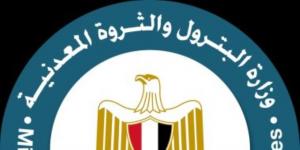 وزير البترول ينتقل لموقع حادث كسر خط نقل البوتاجاز "مسطرد-الهايكستب" ويوجه بسرعة تنفيذ الخطط البديلة - عرب بريس