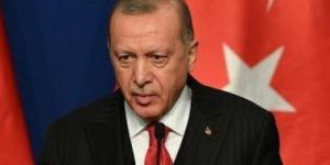 أردوغان: لا نرضى بتفكك سوريا وتدمير وحدتها - عرب بريس