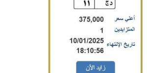 سعرها وصل 375 ألف جنيه.. خطوات التزايد على لوحة سيارة مميزة (رابط) - عرب بريس