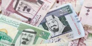 سعر الريال السعودي مقابل الجنيه المصري اليوم الأحد 12-1-2025 في البنوك - عرب بريس