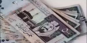 سعر الريال السعودي مقابل الجنيه المصري اليوم الأحد 2 فبراير 2025 - عرب بريس