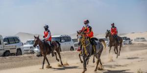 مهرجان سلطان بن زايد للقدرة يستأنف فعالياته - عرب بريس