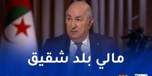 الرئيس تبون: الجزائر لا تريد التدخل في الشأن الداخلي المالي - عرب بريس