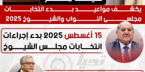 بدء انتخابات مجلسى النواب والشيوخ 2025 في شهرى أغسطس ونوفمبر - عرب بريس