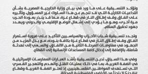 التنسيقية تثمن بيان «الخارجية»: موقف مصر ثابت ضد أي طرح أو تصور يهدف إلى تصفية القضية الفلسطينية  - عرب بريس