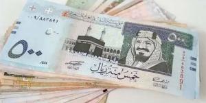 سعر الريال السعودي مقابل الدولار والعملات الأجنبية اليوم الأربعاء 13-8-1446 - عرب بريس