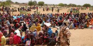 الاتحاد الإفريقي: الحرب السودانية أسوأ أزمة إنسانية في العالم - عرب بريس