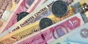 سعر الدرهم الإماراتى اليوم الجمعة 21-2-2025 بالبنك المركزى.. 13.74 جنيه للشراء - عرب بريس