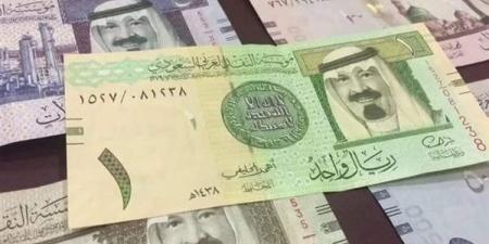 سعر الريال السعودى اليوم الجمعة 10 يناير 2025 فى مصر مقابل الجنيه - عرب بريس