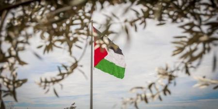 مسؤول فلسطيني: وفد فلسطيني يتوجه الثلاثاء للنرويج لعقد اجتماع لتنفيذ حل الدولتين - عرب بريس