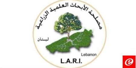 مصلحة الابحاث العلمية الزراعية "Lari" نشرت إرشادات للمزارعين بخصوص طقس الأيام المقبلة - عرب بريس