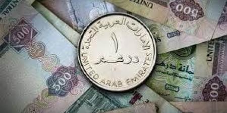 سعر الدرهم الإماراتى في مصر اليوم الأحد 19 يناير 2025 - عرب بريس