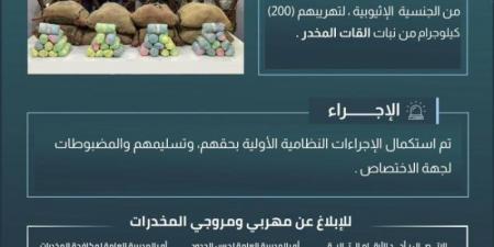 حرس الحدود بعسير يقبض على (8) مخالفين لتهريبهم (200) كيلوجرام من القات المخدر - عرب بريس