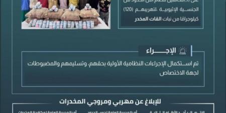 حرس الحدود بعسير يقبض على 9مخالفين لنظام أمن الحدود لتهريبهم 120 كيلوجرامًا من نبات القات المخدر - عرب بريس