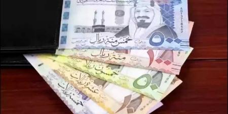 ارتفاع سعر الريال السعودي أمام الجنيه المصري اليوم الجمعة بسبب عمرة رمضان - عرب بريس