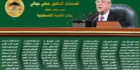 قضية شعب ينضال.. أهم تصريحات رئيس مجلس النواب بشأن القضية الفلسطينية ورفض التهجير.. انفو - عرب بريس