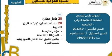 العمل: 1575 فرصة عمل للشباب في 48 شركة خاصة والتقديم خلال فبراير - عرب بريس