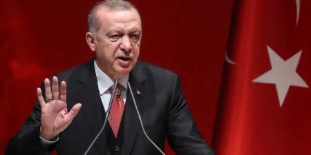 أردوغان: لا يمكن دفع الشعب الفلسطيني نحو نكبة تهجير جديدة - عرب بريس