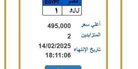 لوحة معدنية مميزة وصل سعرها 495 ألف جنيه.. آخر موعد لانتهاء المزايدة - عرب بريس