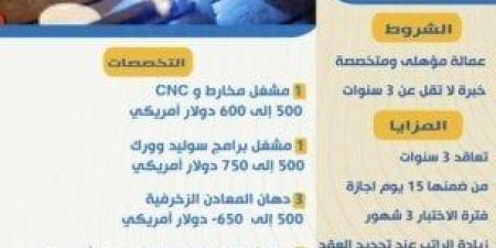 فرص عمل بلبنان بمرتبات تصل لـ 650 دولار أمريكي.. التخصصات وطريقة التقديم - عرب بريس