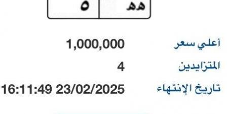 بوابة مرور مصر الإلكترونية تطرح لوحة سيارة بمليون جنية - عرب بريس