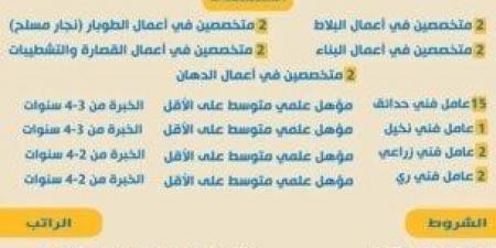 راتب يصل 390 دينار شهريًا.. وزارة العمل تعلن عن وظائف للكوادر المصرية بالأردن - عرب بريس