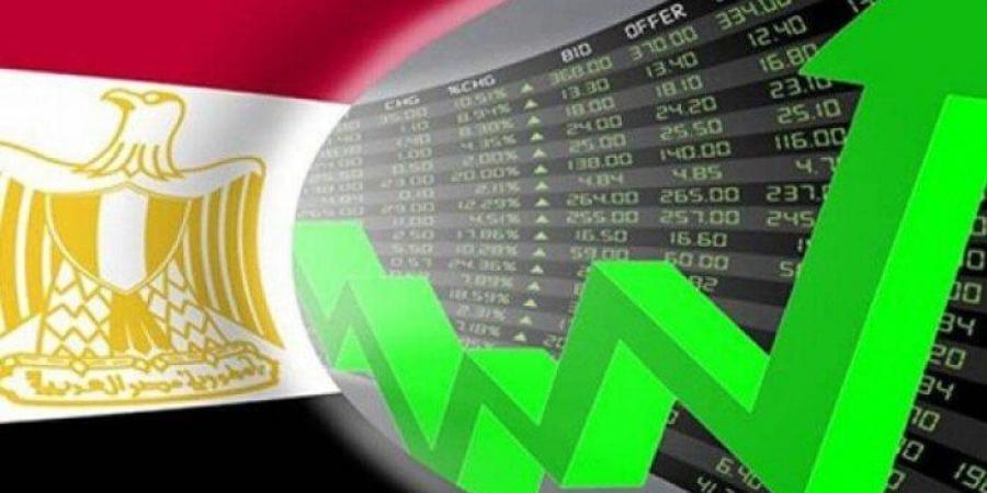 خبير اقتصادي يتوقع عائدات 30 مليار دولار من الطروحات ‏الحكومية في 2025‏ - عرب بريس