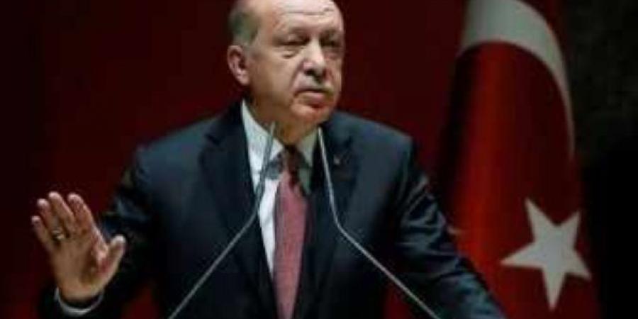 أردوغان: سنقدم كل الدعم اللازم لتحقيق الاستقرار فى سوريا - عرب بريس