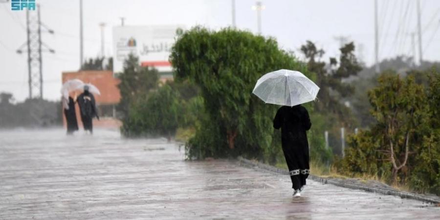 بسبب غزارة الأمطار.. دراسة مناخية توصي بإعادة تصنيف مناخ جازان - عرب بريس