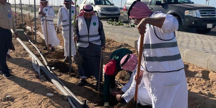 "بيئة رابغ" يطلق مبادرة تشجير وزراعة 700 شتلة بكورنيش المحافظة - عرب بريس