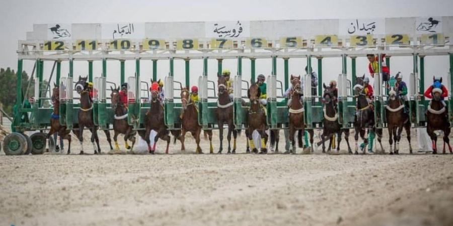 31 جواداً من ميدان الدمام يتأهبون للتأهل للمشاركة في أشواط أبطال الميادين  - عرب بريس