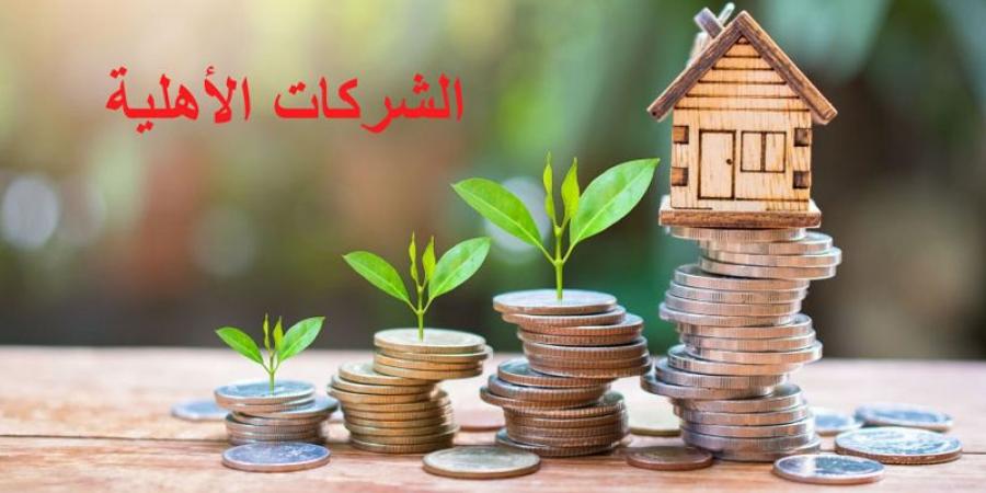 تكثيف تأسيس الشركات الاهلية - عرب بريس