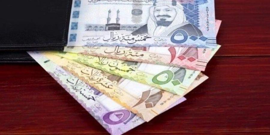 سعر الريال السعودي مقابل الجنيه المصري اليوم الإثنين 6 يناير 2025 - عرب بريس