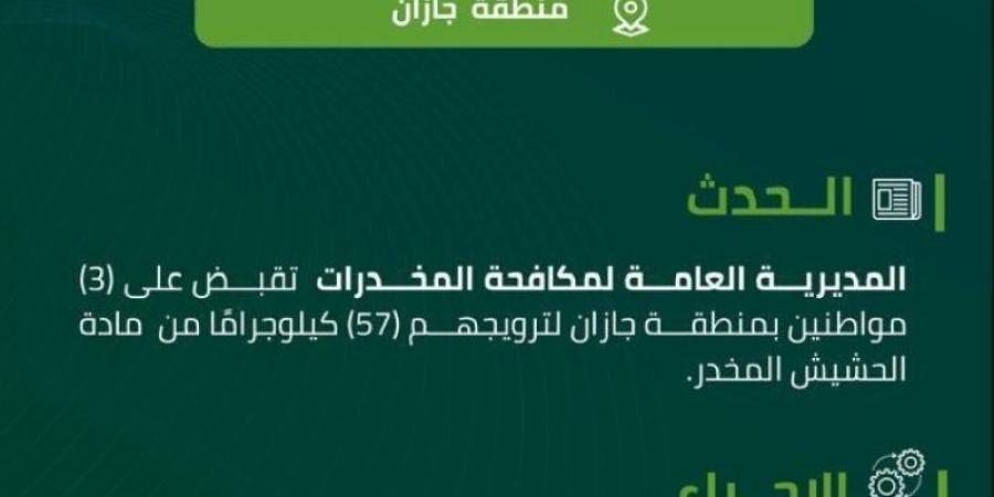 مخدرات جازان تقبض على (3) مواطنين لترويجهم (57) كيلوجرامًا من الحشيش المخدر - عرب بريس