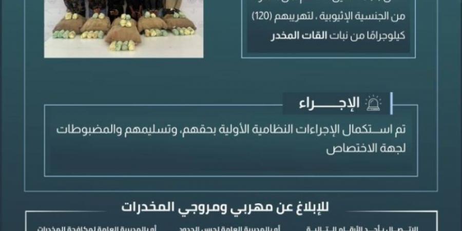 حرس الحدود بعسير يقبض على (6) مخالفين لتهريبهم (120) كيلوجرامًا من القات المخدر - عرب بريس