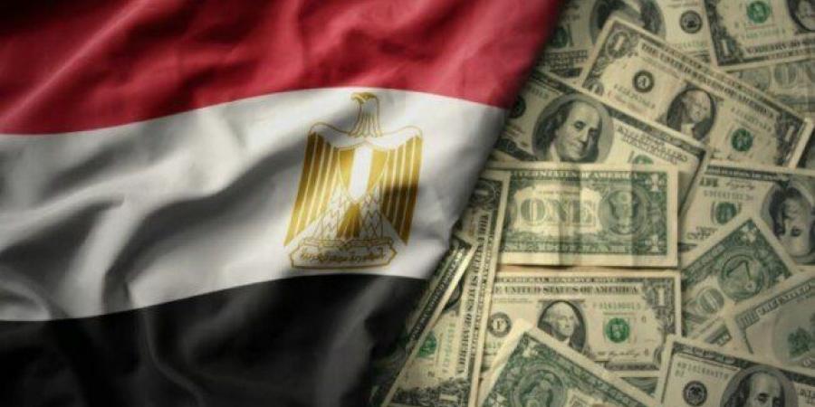 11.889 مليار دولار زيادة في احتياطيات النقد الأجنبي لدي مصر آخر 12 شهر - عرب بريس