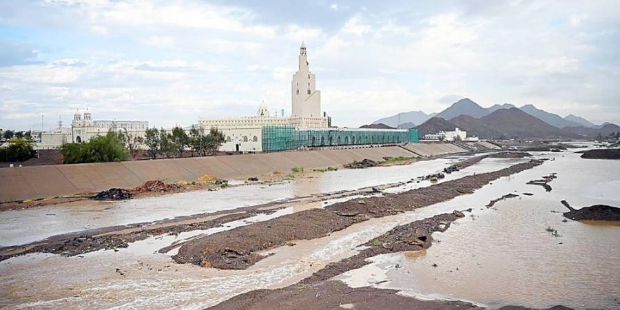 المدينة المنورة تسجّل أعلى كمية بـ (49.2) ملم - عرب بريس