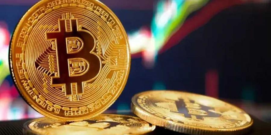 Bitcoin Surges Above $102,000, Marking a Strong Start to 2025 - عرب بريس