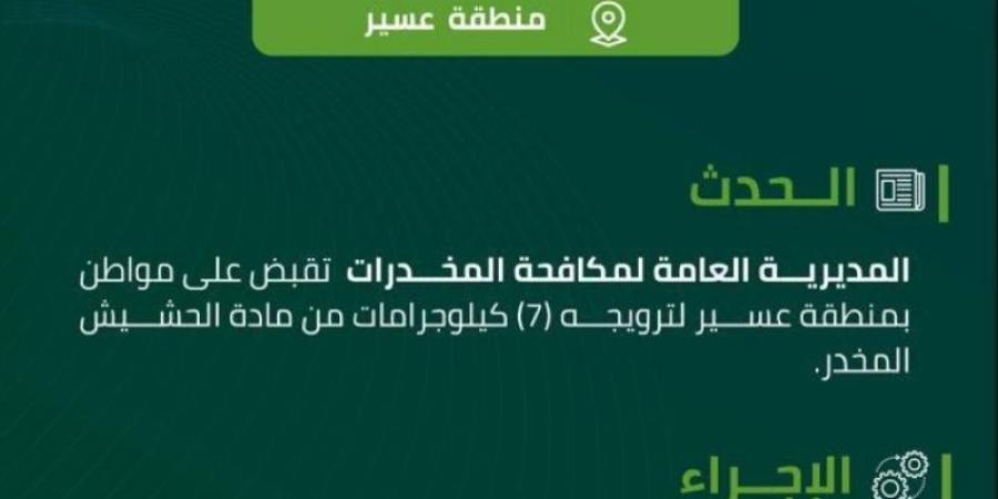 مخدرات عسير تقبض على مواطن لترويجه (7) كيلوجرمات من الحشيش المخدر - عرب بريس