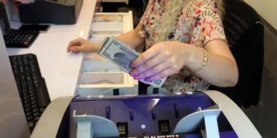 استقرار سعر الدولار اليوم السبت 11-1- 2025 أمام الجنيه المصرى - عرب بريس