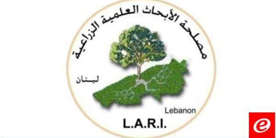 مصلحة الابحاث العلمية الزراعية "Lari" نشرت إرشادات للمزارعين بخصوص طقس الأيام المقبلة - عرب بريس