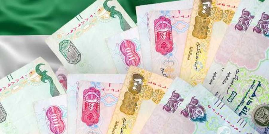 سعر الدرهم الإماراتي اليوم الثلاثاء 14-1-2025 - عرب بريس