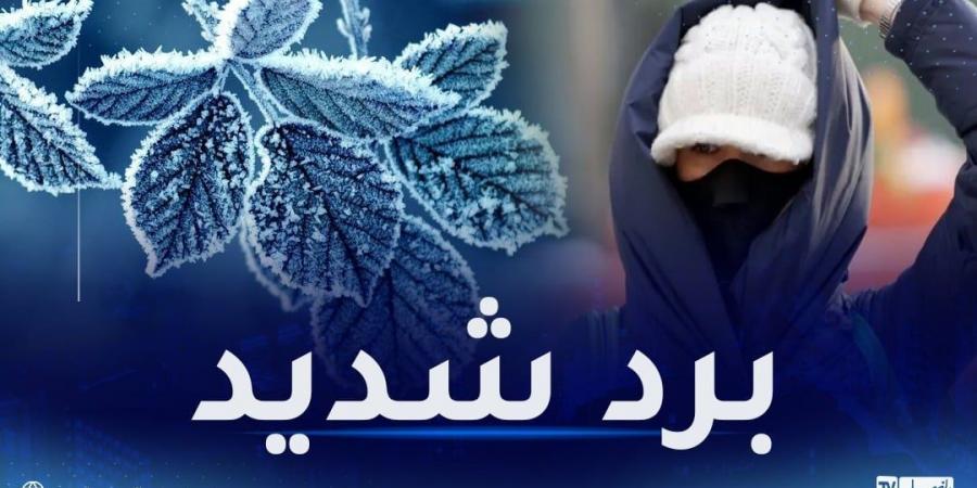 صقيع.. برودة شديدة وأمطار غزيرة وثلوج في هذه الولايات - عرب بريس