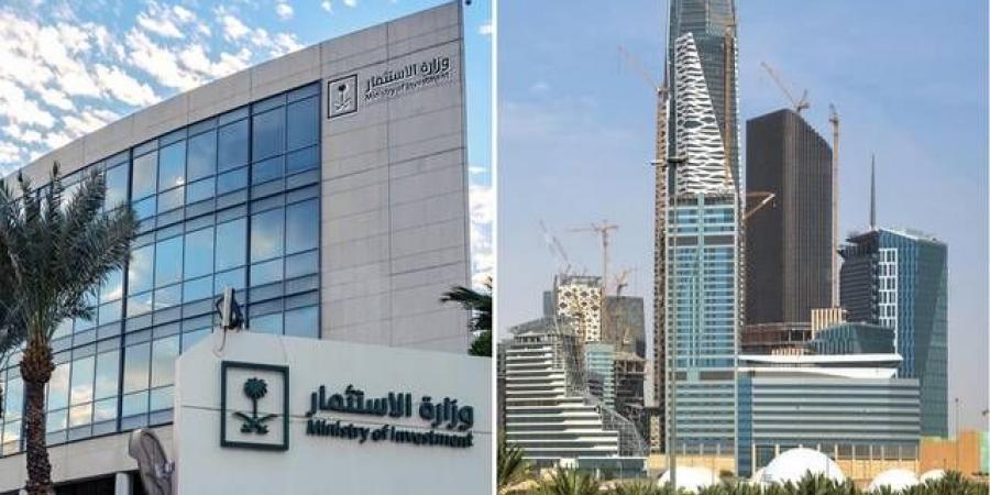 وزارة الاستثمار تعلن إطلاق استبيان ثقة المستثمر النصف سنوي قريباً - عرب بريس